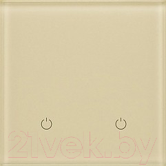 Выключатель DeLUMO Senso 1015 двухканальный сенсорный - фото