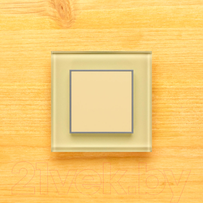 Выключатель DeLUMO Orto 1014 одноканальный клавишный