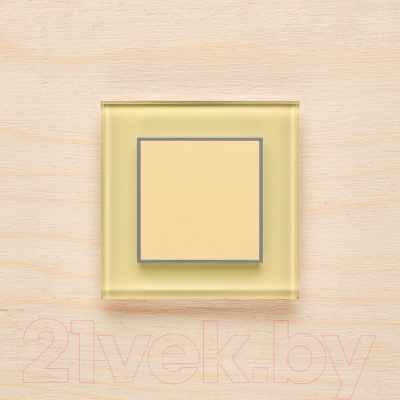 Выключатель DeLUMO Orto 1014 одноканальный клавишный