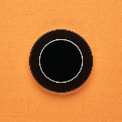 Выключатель DeLUMO Ronda 9005 одноканальный клавишный