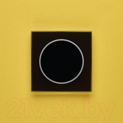 Выключатель DeLUMO Takto 9005 одноканальный клавишный