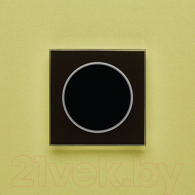 Выключатель DeLUMO Takto 9005 одноканальный клавишный