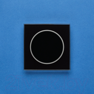 Выключатель DeLUMO Takto 9005 одноканальный клавишный