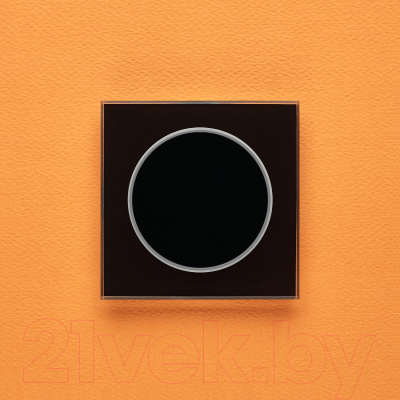 Выключатель DeLUMO Takto 9005 одноканальный клавишный