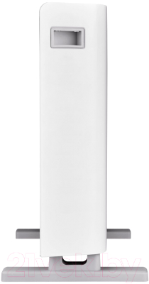 Конвектор Thermex Pronto 2000M (белый)