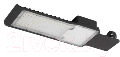 Светильник уличный ЭРА SPP-503-0-50K-030 / Б0043666 - фото