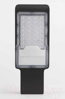 Светильник уличный ЭРА SPP-503-0-50K-030 / Б0043666