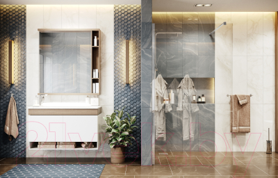 Душевая стенка Ambassador Walk-In 100x200 / 15031102