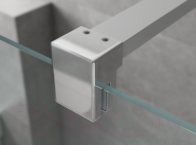 Душевая стенка Ambassador Walk-In 100x25x200 / 15031106