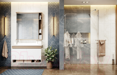 Душевая стенка Ambassador Walk-In 100x25x200 / 15031106