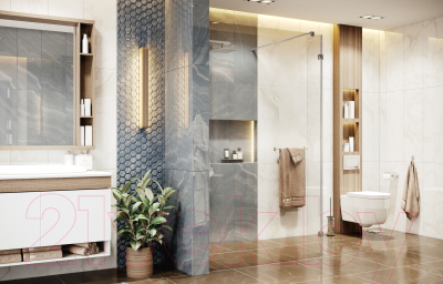 Душевая стенка Ambassador Walk-In 110x25x200 / 15031107