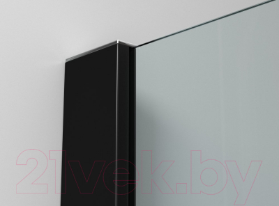 Душевая стенка Ambassador Walk-In 120x200 / 15031112