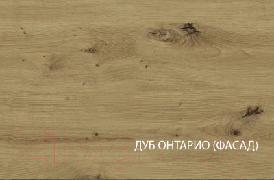 Шкаф навесной для кухни Anrex Alesia 1D/30-F1 (серый/дуб онтарио)