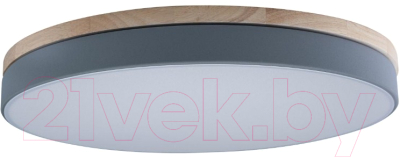 Потолочный светильник Loftit Axel 10001/36 Grey - фото