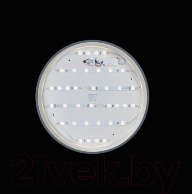 Потолочный светильник Loftit Axel 10001/36 Grey