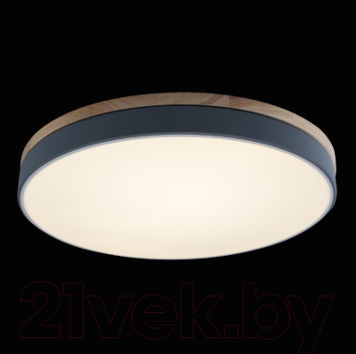 Потолочный светильник Loftit Axel 10001/36 Grey