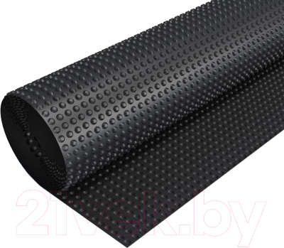 Профилированная мембрана Planter Eco 2x10м - фото