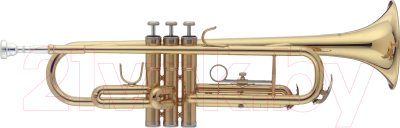 Труба Stagg WS-TR215S - фото