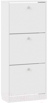 Тумба для обуви ТриЯ Тетра тип 1 исп. 2 (белый) - фото