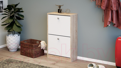 Тумба для обуви ТриЯ Тетра тип 2 исп. 2