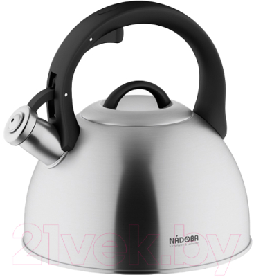 Чайник со свистком Nadoba Irma 731401 - фото