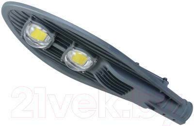 Светильник уличный Ватра BC012C-100-6K - фото