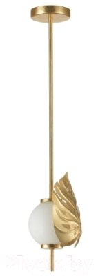Потолочный светильник Odeon Light Jungle 4864/1A - фото