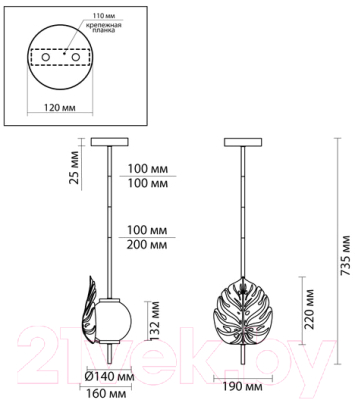 Потолочный светильник Odeon Light Jungle 4864/1A