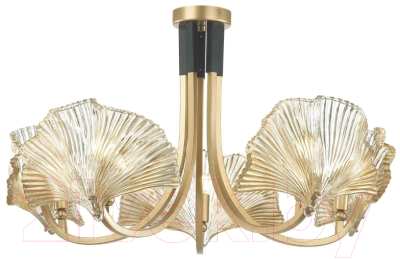 Люстра Odeon Light Ventaglio 4870/5 - фото