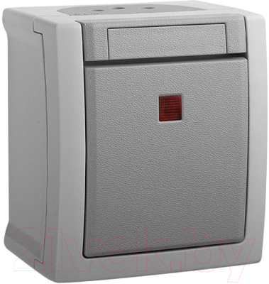 Выключатель Panasonic WPTC40022GR-BY - фото