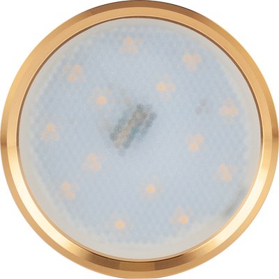 Точечный светильник ЭРА OL7 GX53 GD/CH / Б0048532