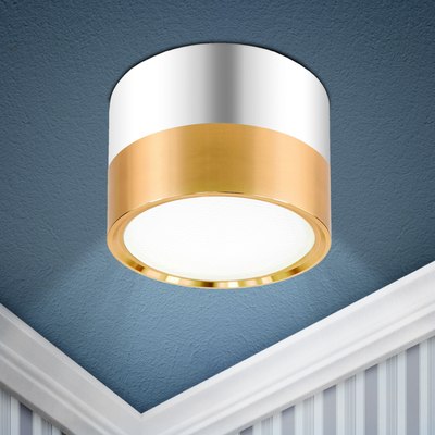 Точечный светильник ЭРА OL7 GX53 GD/CH / Б0048532