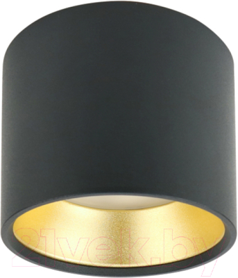 Точечный светильник ЭРА OL8 GX53 BK/GD / Б0048539 - фото
