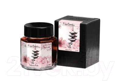 Чернила для перьевой ручки Pierre Cardin City Fantasy / PC332-S15