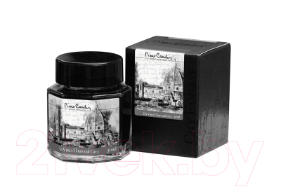 Чернила для перьевой ручки Pierre Cardin City Fantasy / PC332-S9