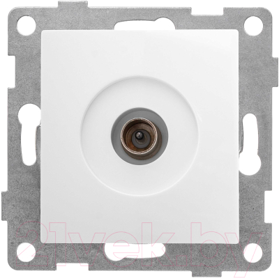 Розетка Gusi Electric Bravo С10А1-001 - фото