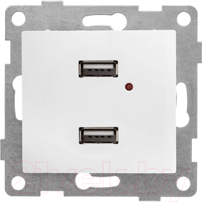 Розетка Gusi Electric Bravo С10USB2-001 (белый) - фото