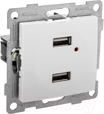 Розетка Gusi Electric Bravo С10USB2-001 (белый)