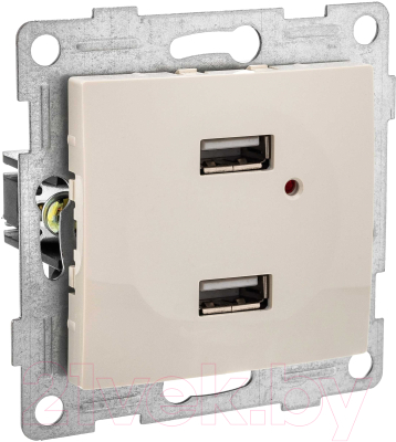 Розетка Gusi Electric Bravo С10USB2-003 (бежевый)