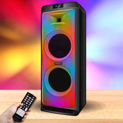 Минисистема Ginzzu GM-205