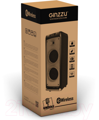 Минисистема Ginzzu GM-205