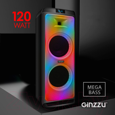 Минисистема Ginzzu GM-205