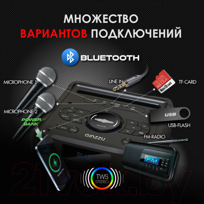 Минисистема Ginzzu GM-205