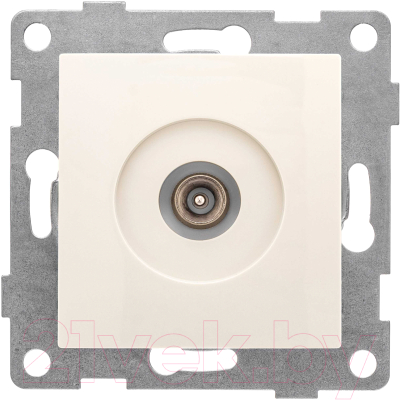 Розетка Gusi Electric Bravo С10А1-003 - фото