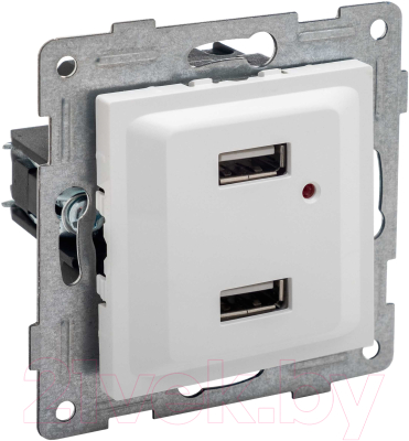 Розетка Gusi Electric Ugra С11USB2-001 (белый)