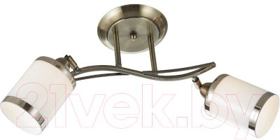 Потолочный светильник Velante 713 713-507-02 - фото
