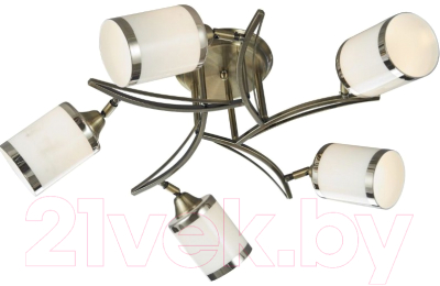 Люстра Velante 713-507-05 - фото