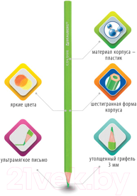 Набор цветных карандашей Brauberg Premium / 181668