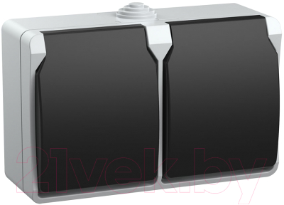 Розетка IEK Форс ERS22-K03-16-54-DC - фото