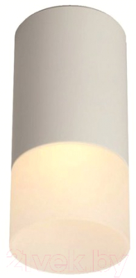 Точечный светильник REV Ritter Essen RCS-65MR16-WH GU5.3 / 52059 7 - фото